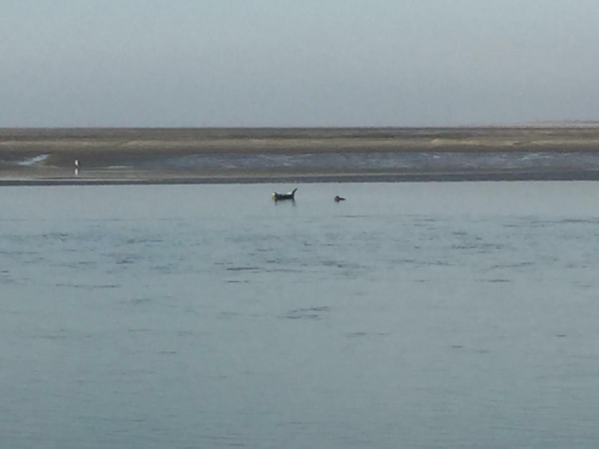 Appartement Baie De Somme, Cayeux Sur Mer, Villa Jacques Mathilde Εξωτερικό φωτογραφία